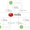 Redis