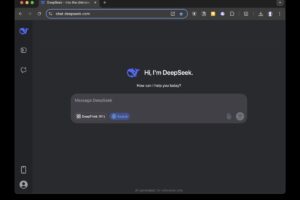 DeepSeek